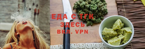 индика Новозыбков