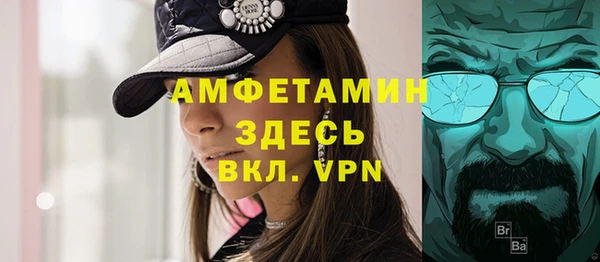 прущие грибы Новодвинск