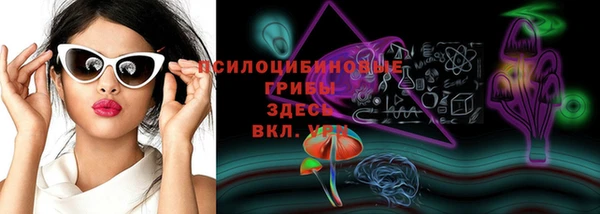 прущие грибы Новодвинск