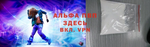 индика Новозыбков