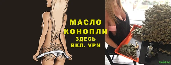 индика Новозыбков