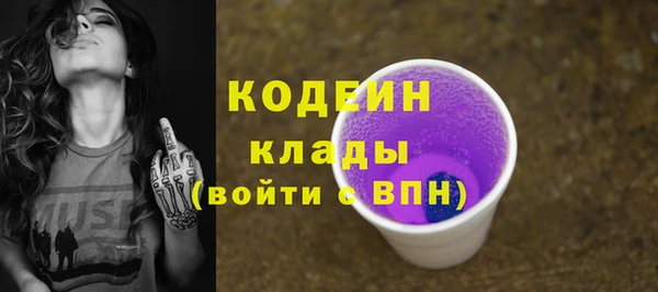 прущие грибы Новодвинск