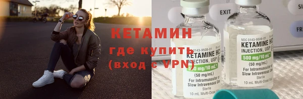 индика Новозыбков