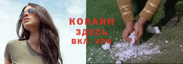 индика Новозыбков