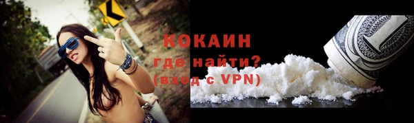 индика Новозыбков