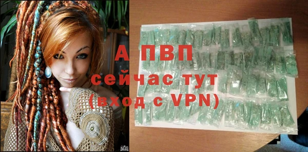 индика Новозыбков