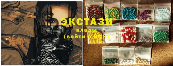 индика Новозыбков