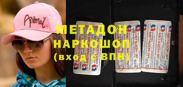 индика Новозыбков