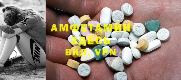 индика Новозыбков