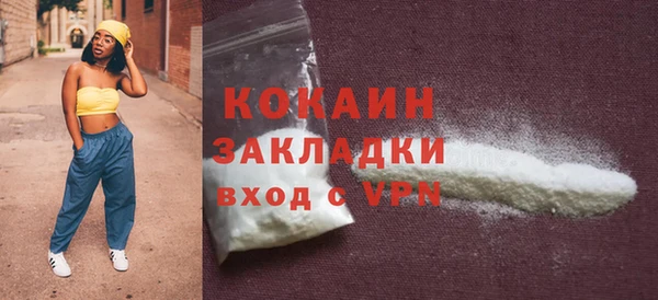 прущие грибы Новодвинск