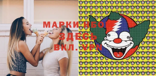 индика Новозыбков