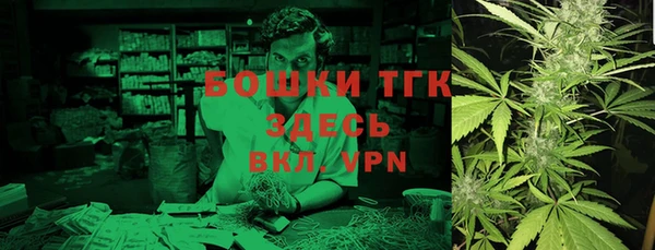 индика Новозыбков