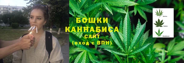прущие грибы Новодвинск