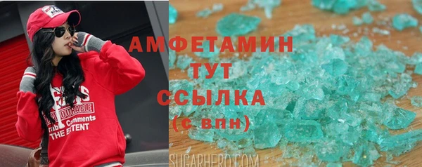 прущие грибы Новодвинск