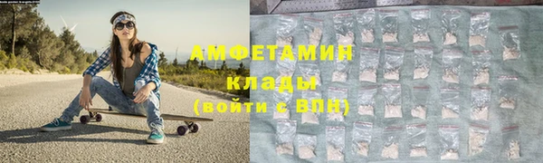 прущие грибы Новодвинск