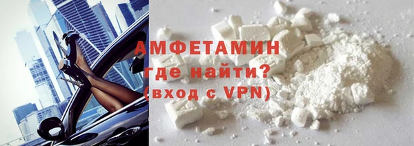 прущие грибы Новодвинск