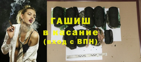 индика Новозыбков