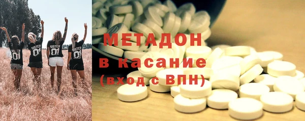 прущие грибы Новодвинск