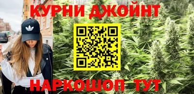 молекула духа Заводоуковск
